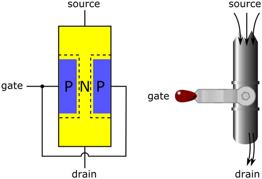 How do Transistors Work?