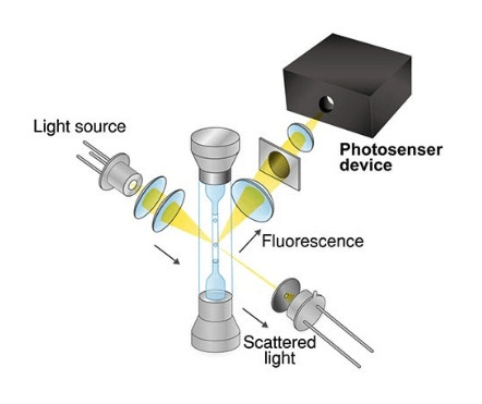 How does a silicon photomultiplier work?