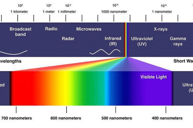 Accelerated Wound Healing Accelerated Wound Healing